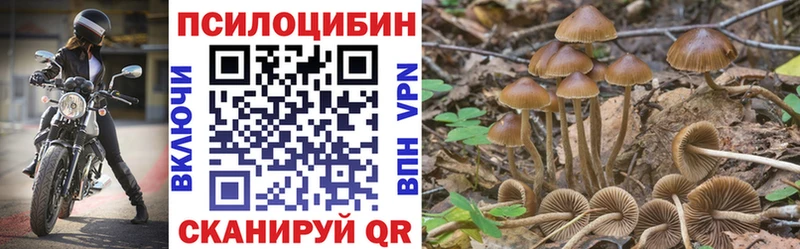 Псилоцибиновые грибы Cubensis  OMG ССЫЛКА  Уварово 